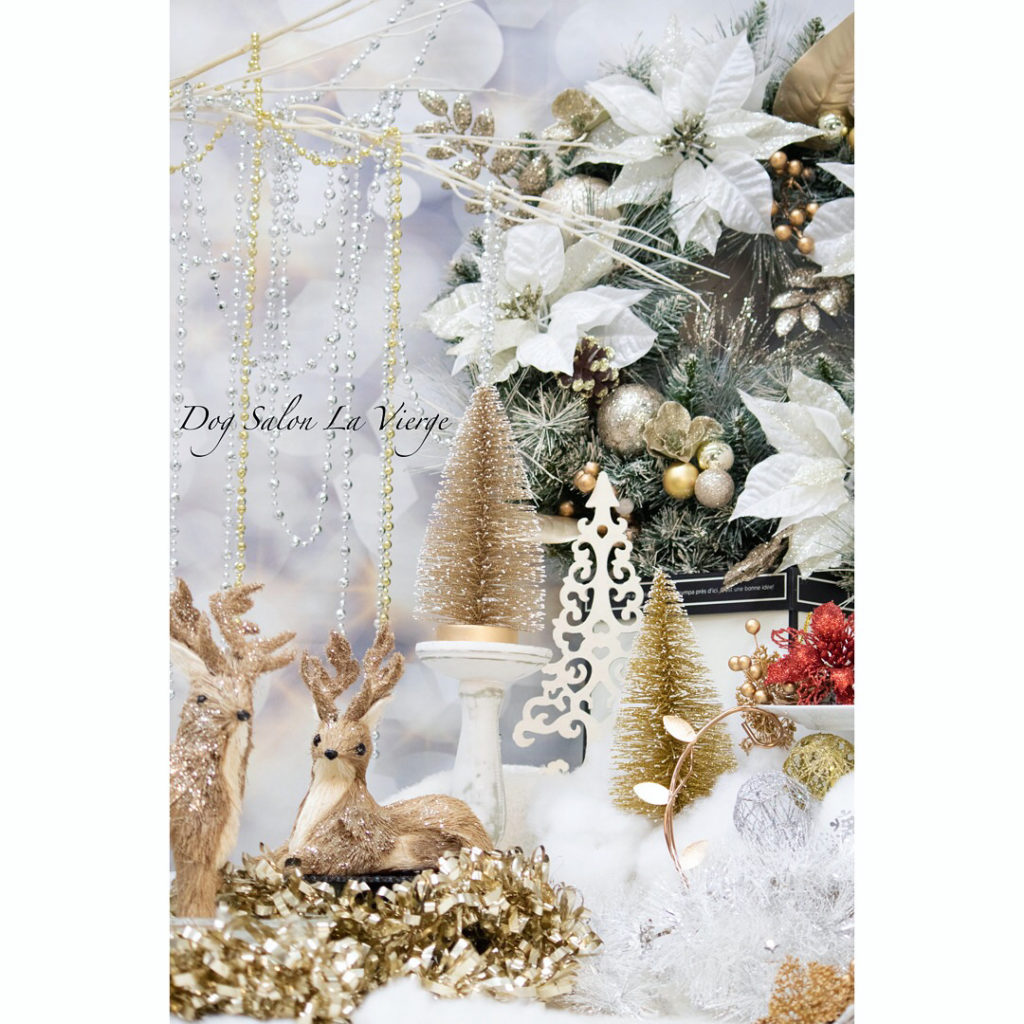 １２月フォトセット